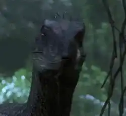 Jurassic Park Raptor Close-Up