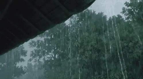 Lluvia en el Campo
