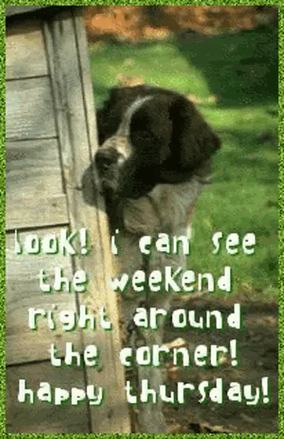 Dog Sees the Weekend – meme of the day, free download no watermark 2026