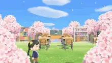 Animal Crossing Animal Crossing New Horizons