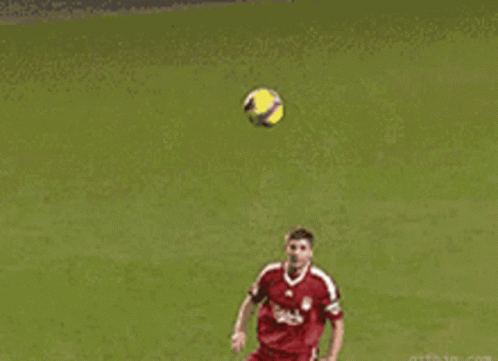 KLIPY GIF