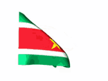 Suriname Flag