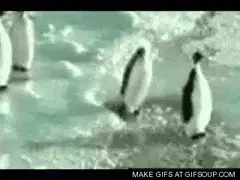 Die 14 lustigsten GIFs aller Zeiten!