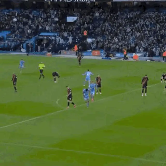 Rodri's Manchester City Celebration