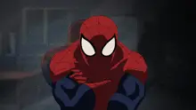 Spiderman Confused