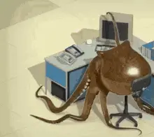 Octopus