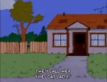 Cat Lady Simpsons Cat