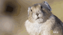 GIF gi-upload ni Christian