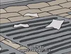 season 16 episode 20