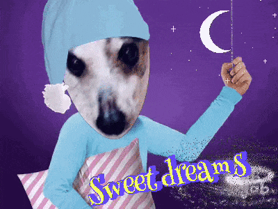Goodnight Sweet Dreams Animated Message