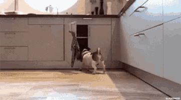 Puppy Delivers 'Happy Weekend' Sign