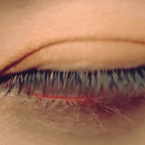 GIF 이미지