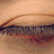 GIF 이미지