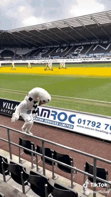 Swansea Cyril's Griddy Dance at the Stadium