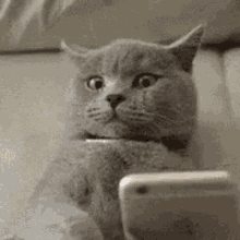 GIF uploaded by Anoshe