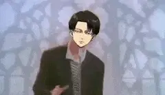 levi-rolled