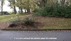 Le Pinguoin