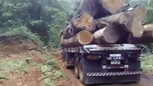 Rodovia Transamzònica: Log Truck Journey