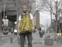 Bee Costume