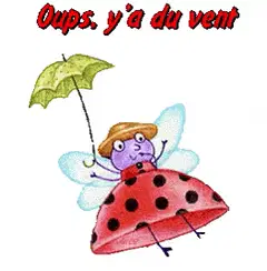 Y'a du vent, du crachin !!