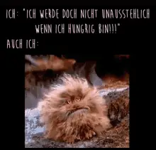 Fizzgig Angry