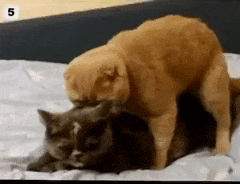 GIF uploaded by Ibrahim