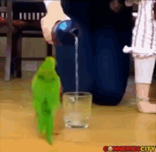 GIF