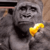 GIF ilipakiwa na Whyyouwanttoknow