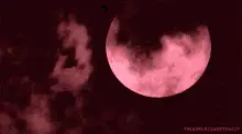 Moon Cloud
