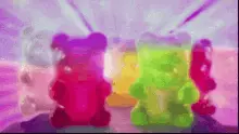 Gummy Gummy Bear