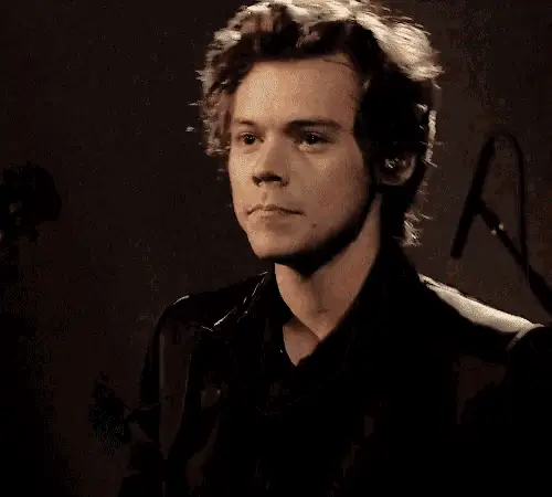 Harry Styles Blows a Kiss – free memes GIF download | meme platform