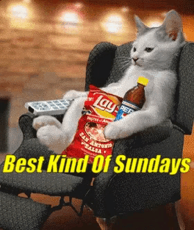Best Kind Of Sundays Cat Relaxing with Snacks