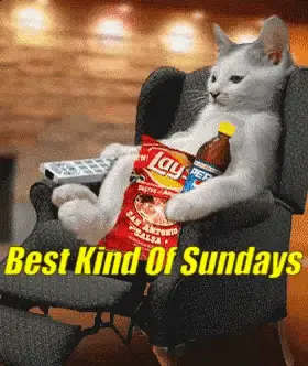 Best Kind Of Sundays Cat Relaxing with Snacks – free memes GIF download | meme platform