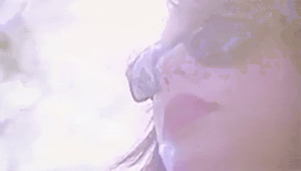 Taylor Swift Blue Lily