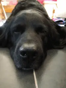Maybe Maybe Not Keep Cool