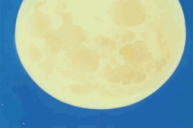 Sailor Moon Strikes a Brave Pose