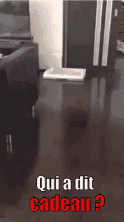 bpq1CNR3.gif