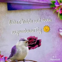 Guten Morgen