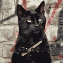 GIF eropgeluede vum A༗🂡🃏⏳