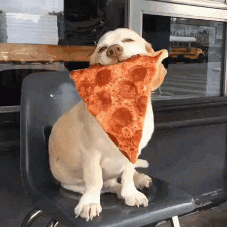 Happy Dog with Pizza Slice