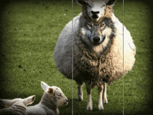 GIF uploaded by Etienne