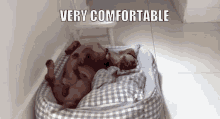 GIF uploaded by Emre