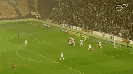 Rúben Neves Incredible Goal