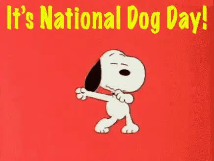 Snoopy Dancing for National Dog Day – free memes GIF download | meme platform