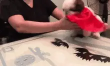 Typical Day With Pearl The Real Paningning