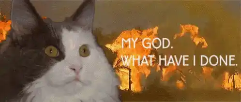 My God, What Have I Done? Cat Meme