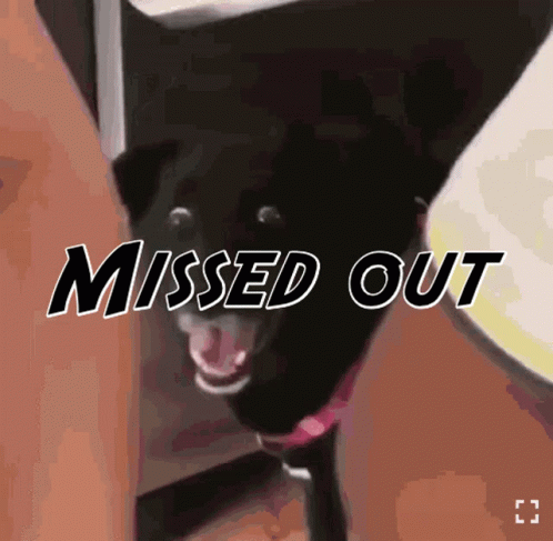 sFQ2qPHF.gif