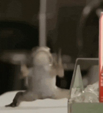 Energetic Frog Dance Moves