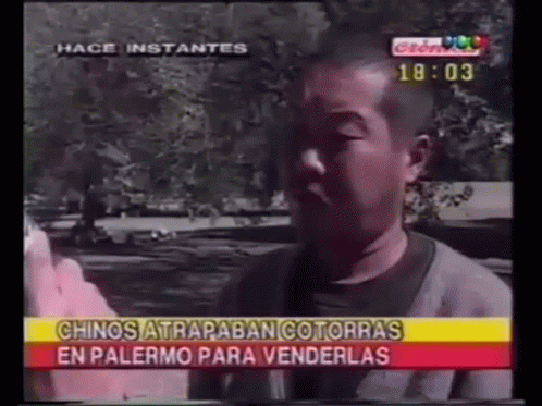 Chino Que Cosa: Atrapaban Cotorras en Palermo
