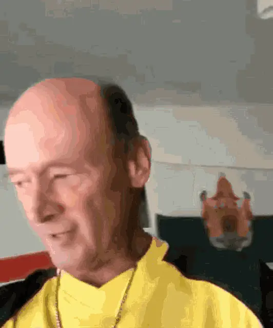 Dynamo Dresden Fan's Animated Reaction